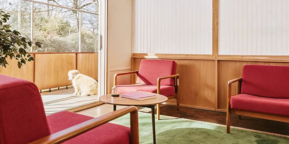Warm and welcoming therapy office interior with comfortable seating and natural light