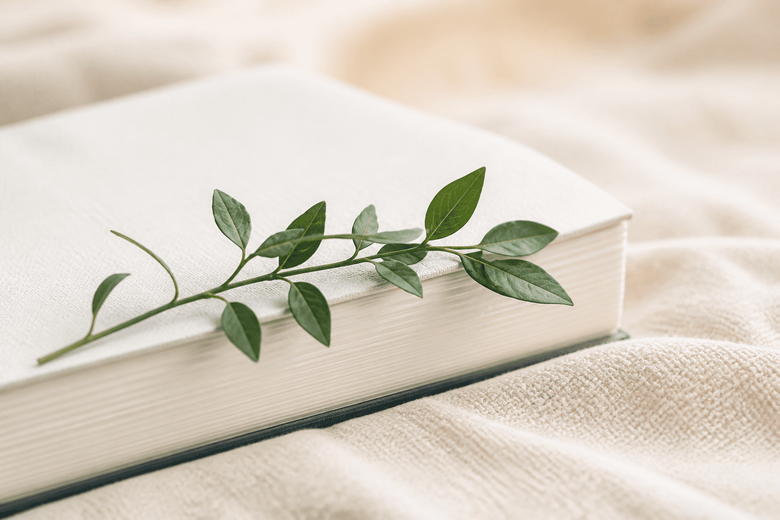 A leafy sprig resting across a pale book on soft bedding