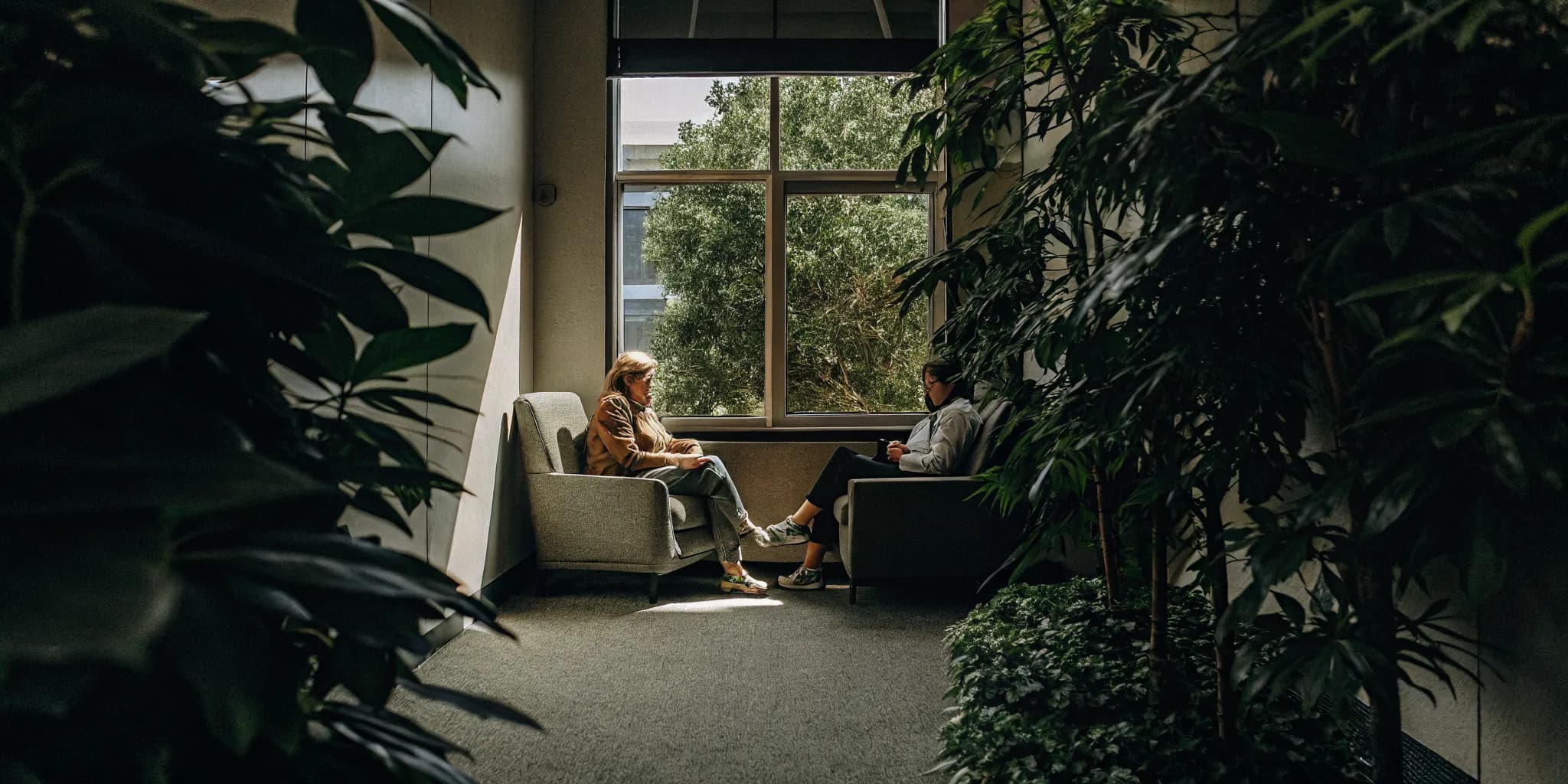 Warm sunlit therapy office in Edmonton with a therapist and client near a window overlooking green trees